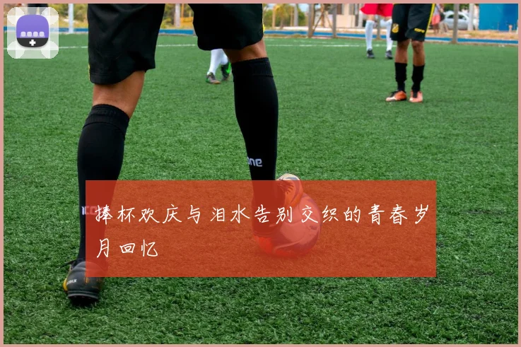 捧杯欢庆与泪水告别交织的青春岁月回忆